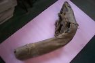 3740985 Chevrolet Gm Nos 1958