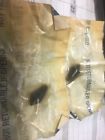 3938600 Gm Nos Camaro Rubber Bumper Chevrolet Pontiac Ta Ss