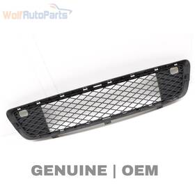 51117163956 Bmw 2007-2013 X5 - Front Bumper Center Grille 7163956