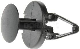 700-049 Dorman/autograde Molding Retainer/clip