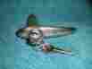 R.h.275 L.h.275 Unknown 1930s 1940s Trunk Hinges Coupe Sedan Ford Morris Minor Import Hot Rat Rod 1950s