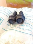 1973 1974 1975 Firebird Trans Gto Camaro 442 Nova Nos 492746 Bumper Bolts 455. Fixed Price $25.00.