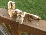 1966 Ford Fairlane Station Wagon Dual Action Tailgate Lwr Hinge. Fixed Price $50.00.