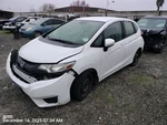 Rear Wht Bumper Assy Oem 15-17 Honda Fit. Fixed Price $150.00.