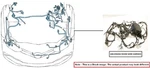 Engine Room Harness Oem 2019 Infiniti QX50. Fixed Price $200.00.