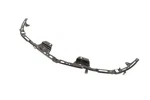 Genuine Gm Front Bumper Fascia Center Support 26219351. Fixed Price $67.31.