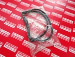 1975 1976 1977 1978 1979 Toyota Corolla KE50 TE51 TE52 Front Windshield Rubber. Fixed Price $287.61.