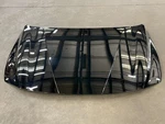 2024 2025 Hyundai Elantra Front Hood Bonnet Cover Panel Shell Black 1655 Oem. Fixed Price $679.99.