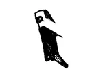 Genuine Ford Bumper Cover Bracket 7A2Z-17D942-E. Fixed Price $5.55.