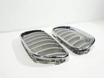 2011-2017 Bmw X3 F25 Front Left & Right Silver Center Grille Factory Set Of. Fixed Price $72.29.