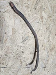 Left Rear Bumper Cover Retainer Reinforcement Upper Bracket 74-82 C3 Corvette. Fixed Price $18.70.