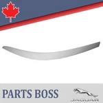 Jaguar X-type 2002-2008 Oem New Bumper Molding Rear Right (passenger Side). Fixed Price $144.73.