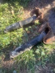 74-89 Bmw E12 E24 528I 530I 628CSI 633CSI Rear Bumper SHOCK*E-07*. Fixed Price $49.02.