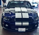 Sto Sho License Plate Bracket 2010-2012 Ford Mustang Shelby GT500. Fixed Price $99.99.