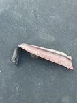 Oem Gm 1975 1976 Chevy Caprice R/h Right Front Bumper Filler Panel Donk. Fixed Price $52.99.