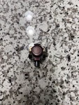2001-2006 Lexus LS430 Bumper Parking Sensor Black Cherry Pearl Oem 89341-50020. Fixed Price $55.00.