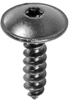 Torx Truss Head Tapping Screw For Gm 13144822 Qty: 25. Fixed Price $20.89.