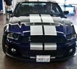 Quick Release License Plate Holder Bracket 2010-12 Ford Mustang Shelby GT500. Fixed Price $99.99.
