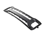 Genuine Mopar Fascia Applique 7FB11GXHAB. Fixed Price $142.53.