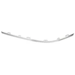 06-07 Magnum Front Fascia Bright Strip Molding Left Oem New Mopar 5030045AA. Fixed Price $172.11.