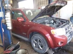 Rear Bumper Vin 3 8TH Digit Hybrid With Park Assist Fits 08-12 Escape 2074400. Fixed Price $650.00.