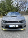 Dodge Charger Oem Shipping Guards. Fixed Price $50.00.