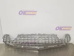 02 Ford Tbird Thunderbird Grille. Fixed Price $850.00.