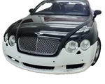 Bentley Continental & Gtc 2005-08 Factory Type Front Bumper Cover Made Usa. Fixed Price $2565.00.
