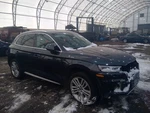 (local Pickup Only) Rear Bumper Without Line Park Assist Fits 18-20 Audi. Fixed Price $799.99.