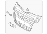 Genuine Audi Center Grille 8K0-853-651-S-1RR. Fixed Price $726.08.