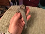 1935 1936 1937 1938 Plymouth Dodge Trunk Handle Mopar Lock Cylinder With Key. Fixed Price $142.00.