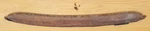Filler Panel Rear Bumper Fleetline Chevrolet 1949-52 Chevy 51 1950 1952. Fixed Price $141.11.