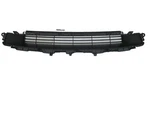 DD603163 Tesla Model X 2021 2022 2023 2024 Front Bumper Lower Grille Original Oe. Fixed Price $129.99.