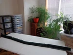 1977 78 79 Oldsmobile 98 Ninety Eight Delta 88 Front Bumper Filler Trim Molding. Fixed Price $499.99.