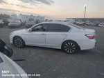 Rear Wht Bumper Assy Oem 14-15 Honda Accord. Fixed Price $175.00.